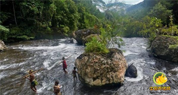 5、巴族人们以狩猎为生，实行集体生活，打来的食物大家共享。