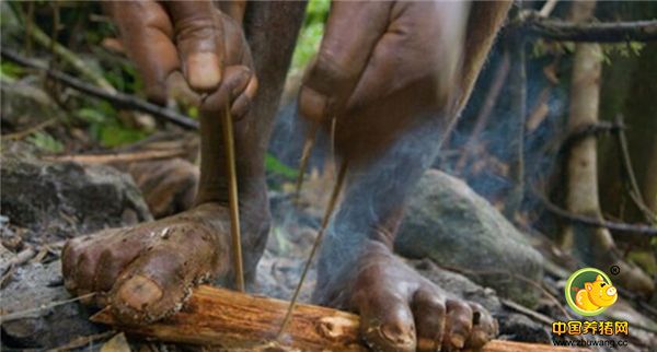 8、打猎、钻木取火，这样的“原始社会”现代人很难接受。