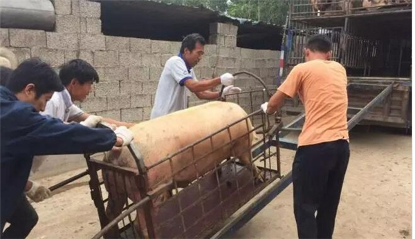 农村卖电子游艺网站
景实拍！