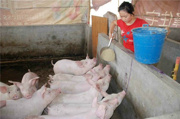 3、妈妈得病后，小梅不得不退学“我也想读书，当时学费都交了，但是现在我要看电子游艺网站
，没时间上课”小梅说。每天干完活，小梅最喜欢和这条大黑狗玩，这是她最好的玩伴，没人的时候她俩经常“说话”。