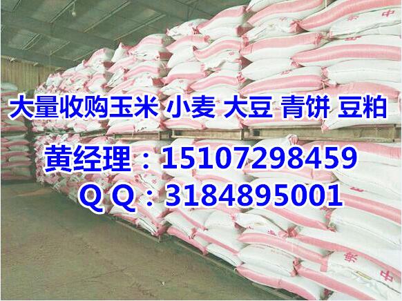 玉米价格|玉米价格行情|垄上收购