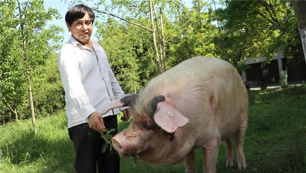 被埋36天后获救，晚年的“猪坚强”如今咋样了