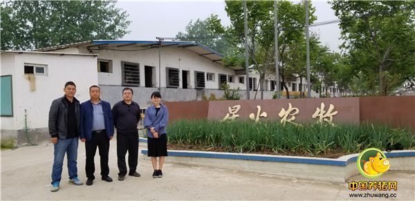 中国电子游艺网站下载安装
走近养猪人，走进新野县星火农牧！