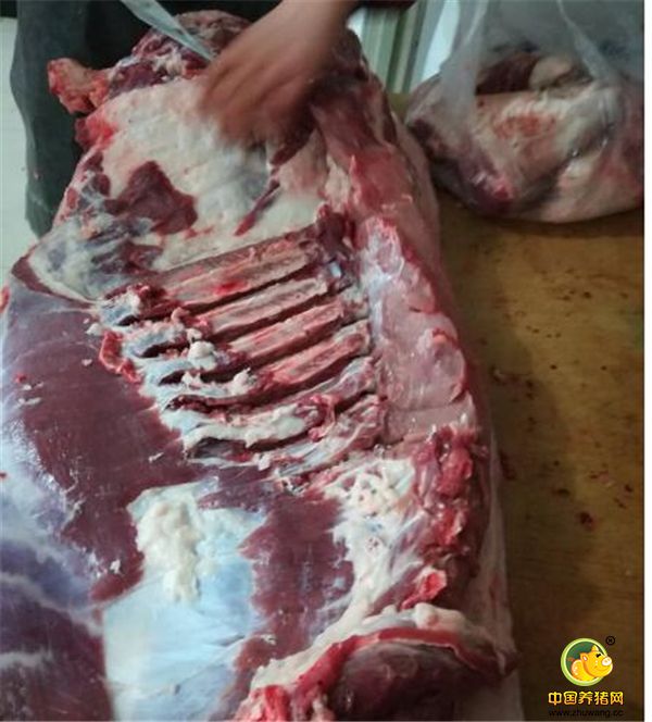 8、山猪喂食无公害非转基因玉米，大豆。啃青草，野果，渴饮山泉水，自由奔跑。生长周期14--18个月，体质健壮，肌肉弹性好，肉质扎实，瘦而不柴，肥而不腻，香味纯正。