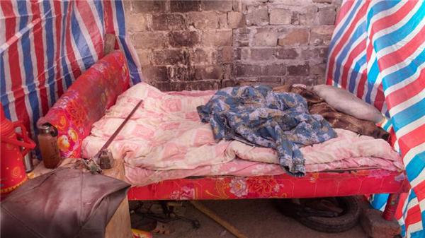 4、老伴要留在家里照护两个老人，为了把猪养好，老万一个人在山上与猪“同吃同住”，他用塑料薄膜把猪舍隔出一小块地方，放了一张床便成了一个极简陋的家，每天听着猪的叫声他才能安然入睡。