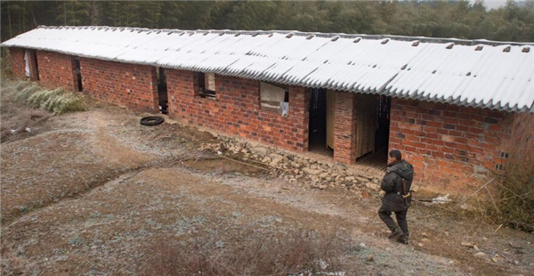 2、63岁的老万是湖北阳新王英镇横溪村里的贫困户，横溪村不仅交通极为不便，而且山多地少，每户人家连“一亩三分地”都没有，这几年年轻人外出打工经济大有改观，老万家里有两个80多岁的老人，老伴身体也一直不好，再加上年级也大了只能在家里种点地，一年到头只能顾个肚子，看点病就得欠债，村里和扶贫工作队帮他制定了养猪脱贫的计划。