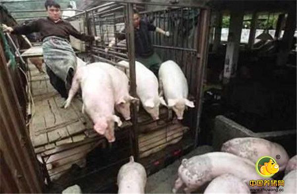 3、避免污染：电子游艺网站
应谢绝外来人士进入，注意人员和车辆的消毒工作，可趁此时机规范电子游艺网站
管理。