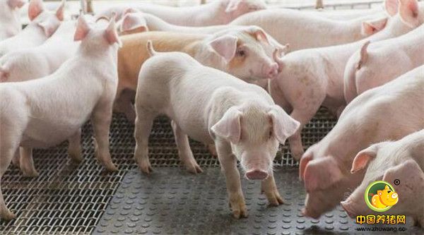 电子游艺网站
除臭方法多，哪个你更适用呢？