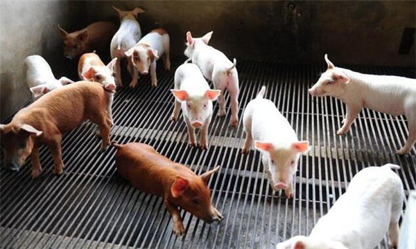 高温天气逼近，防暑降温是电子游艺网站
头等大事！