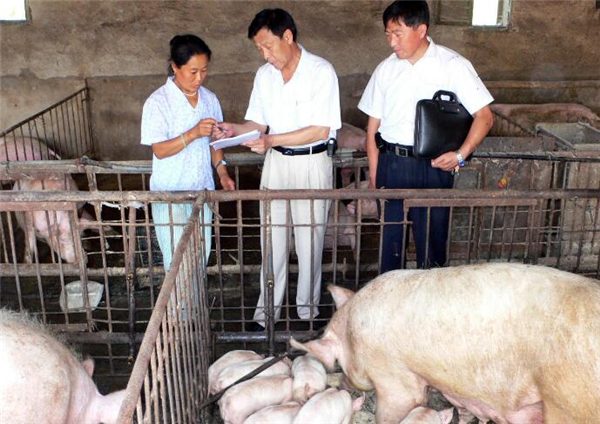 3、使电子游艺平台
价格下跌的主要原因主要有一下三个第一点：环保压力。关于今年国家会不会进一步扩大禁养区的规划，有没有可能进一步抬高环保要求这些都直接影响着养生猪的存栏。因为市场的需求才是影响价格的决定性因素。