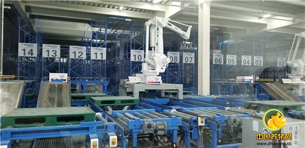 恒通动保新工厂