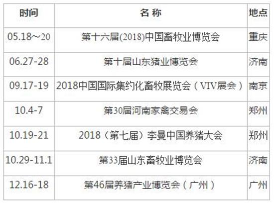 中国电子游艺网站下载安装
