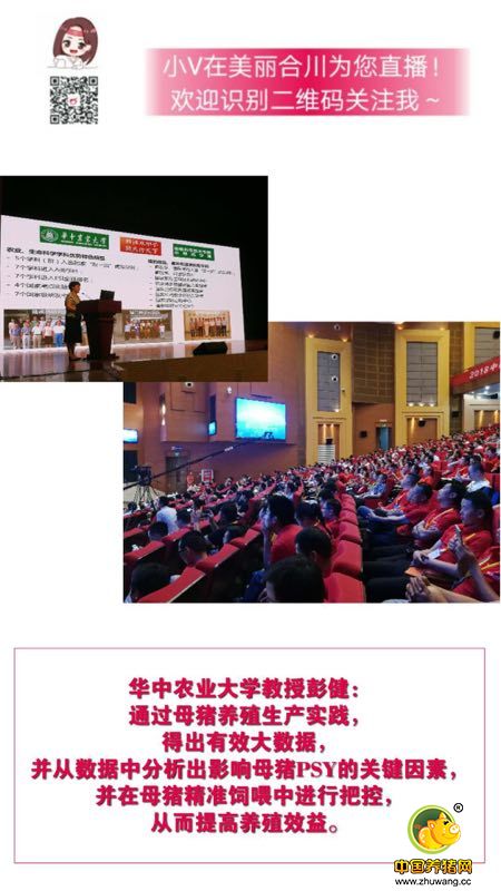 这是一场行业大咖云集的思想盛宴，更是一次仰望星空的产业求索！