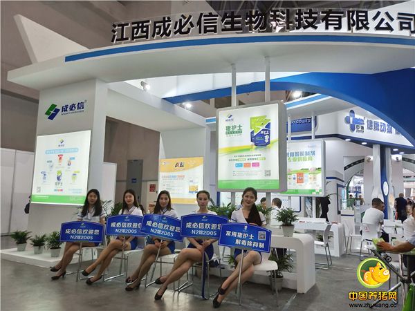 江西成必信之卡通与模特篇