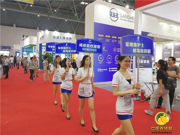 江西成必信之卡通与模特篇