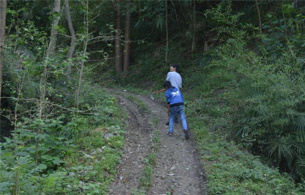 90后深居大山，甘愿做新一代的养猪郎！