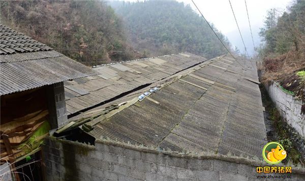 刚开始由于缺乏实战经验和缺少销路！亏了不少钱，经过总结和想老师傅取经之后年收入超200万，如今还当上了村长