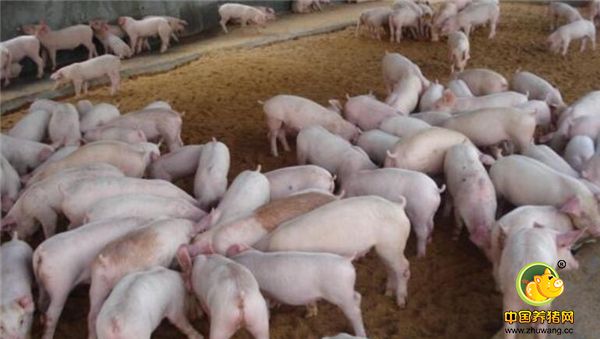 4、忌将脐带缠绕打结，以免影响干燥与脱落。