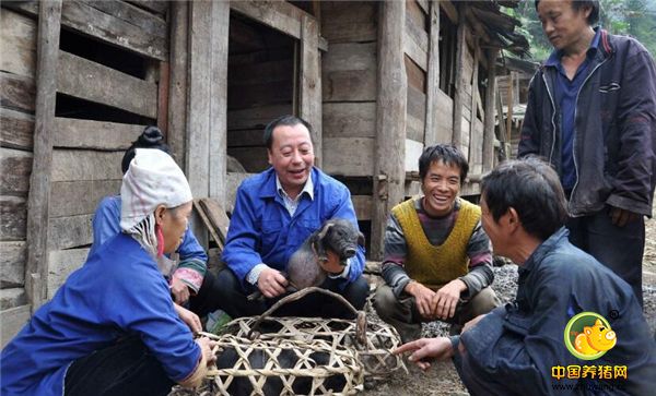 农民工返乡养猪，就好比大冬天有人说赚钱一样，全村农民着急得眼红了。不少人向刘世培请教成功秘诀是吃得苦、敢奋斗，‘烂摊子’也可以变成‘金窝窝’。