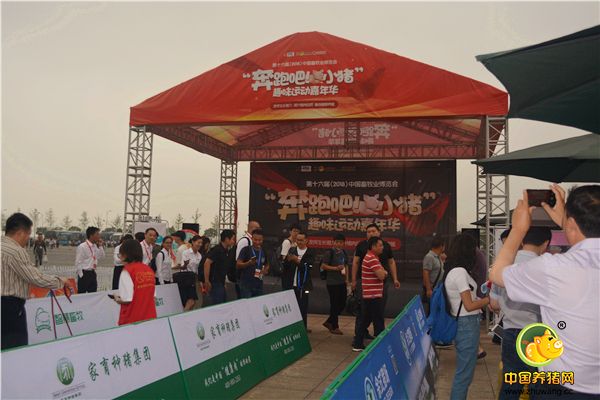 第十六届（2018）中国畜牧业博览会——“奔跑吧！小猪”趣味运动嘉年华活动精彩瞬间！