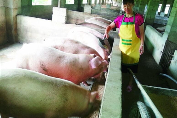 4.棉籽饼：棉籽饼影响维生素A的吸收利用，在防维生素A缺乏时，应停喂棉籽饼。