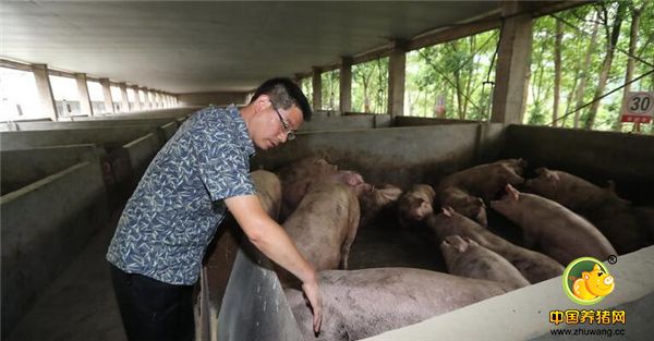2018年5月30日，开化军剑养电子游艺网站
位于衢州市开化县华埠镇新青阳村，电子游艺网站
负责人许军剑是浙江大学毕业生，毕业后先在杭州一家国企工作。