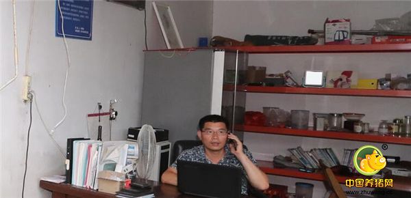 2006年他毅然回到家乡投资办场当起了猪倌。