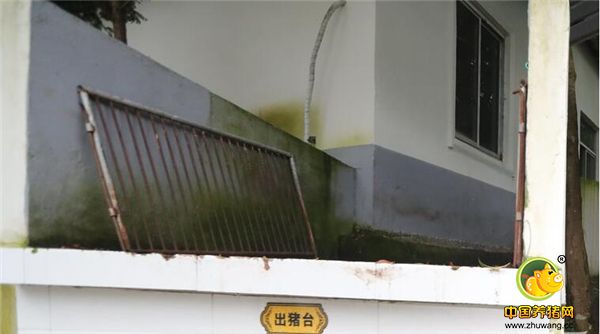 在他看来，成功就是自己有一个喜欢的职业，然后不断坚持下去，在哪都一样。 图为养电子游艺网站
里的出猪栏。