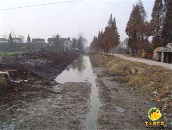 以前村里的农民还能用河水灌溉，现在只能用井水了。又因为河水跟地下水其实是相通的，现在村里的农民吃的井水都不敢吃浅层的井水了，因为浅层的井水可能已经被这个养电子游艺网站
给污染了。这可真是，一个养电子游艺网站
坏了一个村子啊！