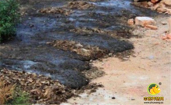 在我们村，几乎人人都讨厌养猪，这究竟是为什么呢？原来，这都是我们村一个小养电子游艺网站
害的。这个养电子游艺网站
大概养了十几头母猪，算是农村典型的小规模养电子游艺网站
。这个养电子游艺网站
在村边上，按理说对于村民的生活没什么影响。但坏就坏在，这个养电子游艺网站
竟然建在河边。