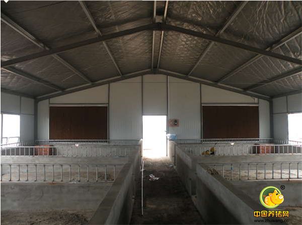 小伙新建的猪舍准备进军养猪业，大家看看咋样？