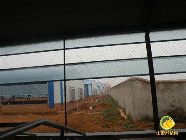 小伙新建的猪舍准备进军养猪业，大家看看咋样？