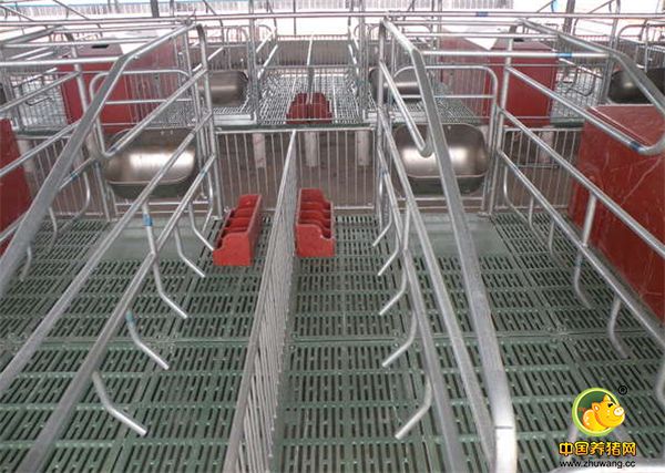 小伙新建的猪舍准备进军养猪业，大家看看咋样？