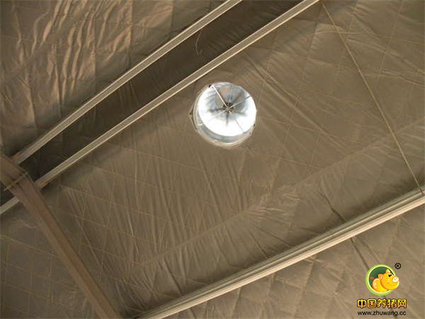 小伙新建的猪舍准备进军养猪业，大家看看咋样？