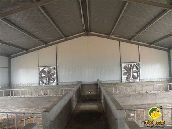 实拍！花大价钱新建的电子游艺网站
，这时候进入养猪业到底行不行？