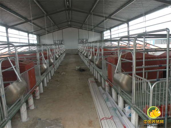 小伙新建的猪舍准备进军养猪业，大家看看咋样？