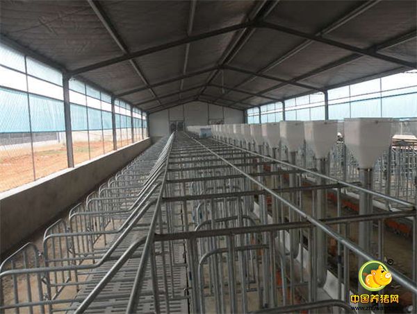 很多朋友说现在行情不好，这时候进入养猪业难挣钱，大家怎么看？