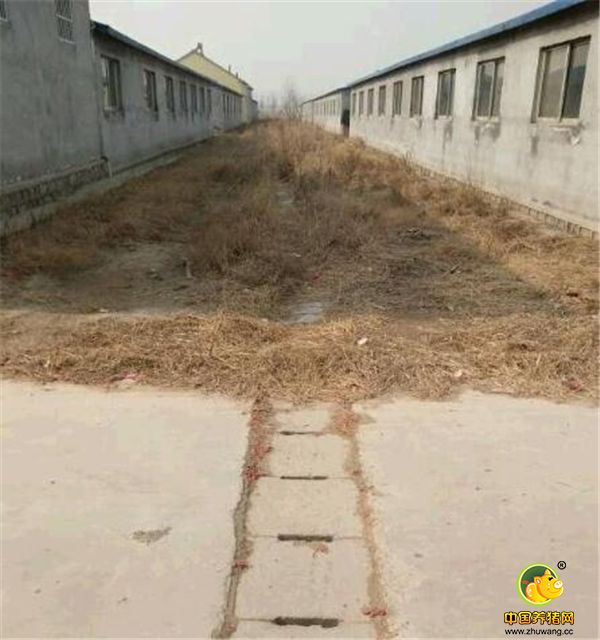  暗沟，雨水和污水要分开，因为雨水没有污染不必处理，要另建一个排水沟单独把雨水排出去。