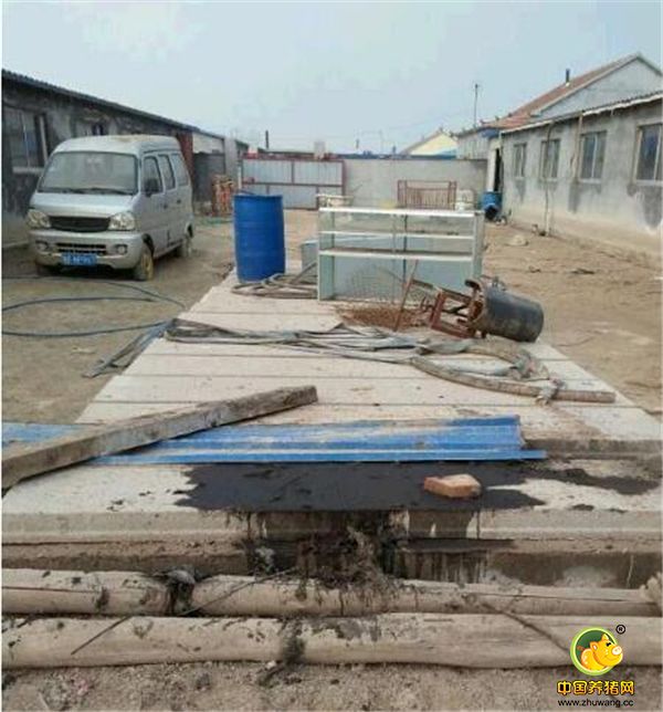 化粪池，全电子游艺网站
的粪便都集中在里面，里面也是很深的。