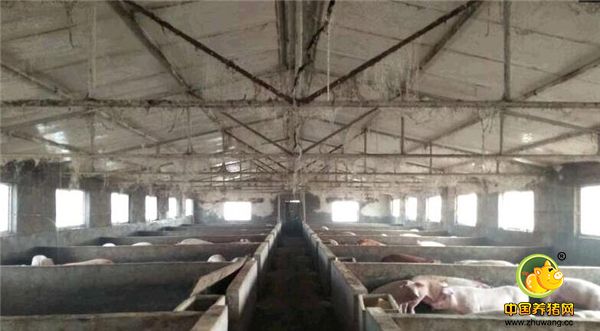 晒晒自家电子游艺网站
污染防治配套设施，其实做好环保也很简单！