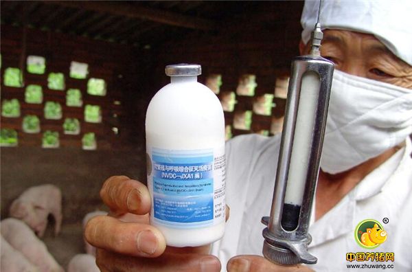 养猪口诀五：传染病吃掉老本，寄生虫吃掉利润。重视电子游艺网站
的生物安全，尽可能的降低外来传染病进厂，制定适合本厂的免疫程序严格执行，定期驱虫。