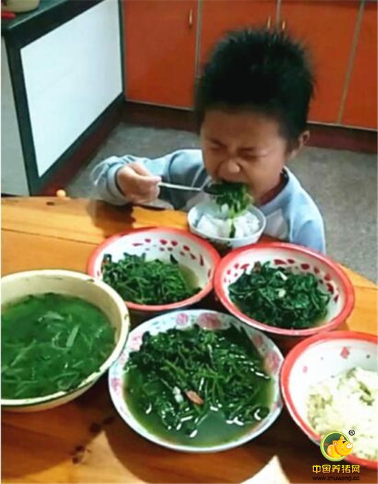 小露露过生日，也许不是和别的小朋友一样吃生日蛋糕，而是妈妈做的这一桌子野菜。天天这样吃一点问题都没有，如果吃了蛋糕的话，还会搞得肚子疼，又得去医药拿药来吃，结果是得不偿失。有这种病的小孩是不能吃有营养的东西，特别是肉，不然肿瘤会长得很快！