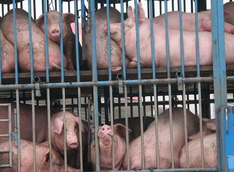 美国电子游艺平台
产品被爆含金属碎片，你还敢吃进口电子游艺平台
吗？