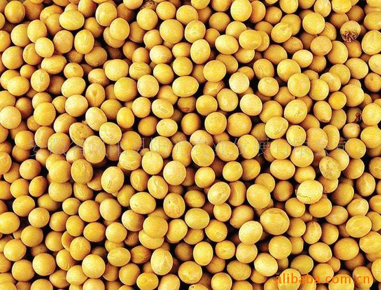 长期求购大豆菜饼豆饼棉粕菜粕豆粕等饼粕类