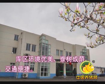 成都收购玉米碎米高粱