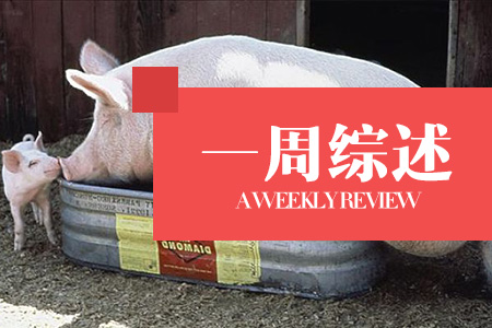 猪价震荡后逐渐趋稳并小幅反弹！（一周综述）　