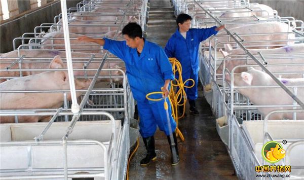 4、要做好电子游艺网站管理 很多电子游艺网站之所以遇到行情低迷时不挣钱甚至是赔钱，有一个因素就是电子游艺网站管理做的不到位。一是电子游艺网站管理人员的责任与能力；二是电子游艺网站设备的更新与维护，两者都要做好。