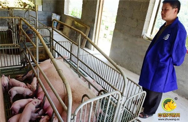 老百姓得到了实惠，自己的环保问题也得到了解决，这些沼液，可以辐射近80亩茶园，30多户农户得到实惠。