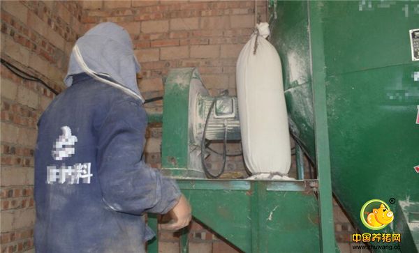  她明年有更高的目标，希望能挣到5万元。图为她正在磨饲料，带着奇怪的帽子很吸引人注意。