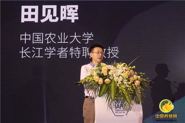 长江学者、科技部畜禽育种产业联盟理事长田见晖先生